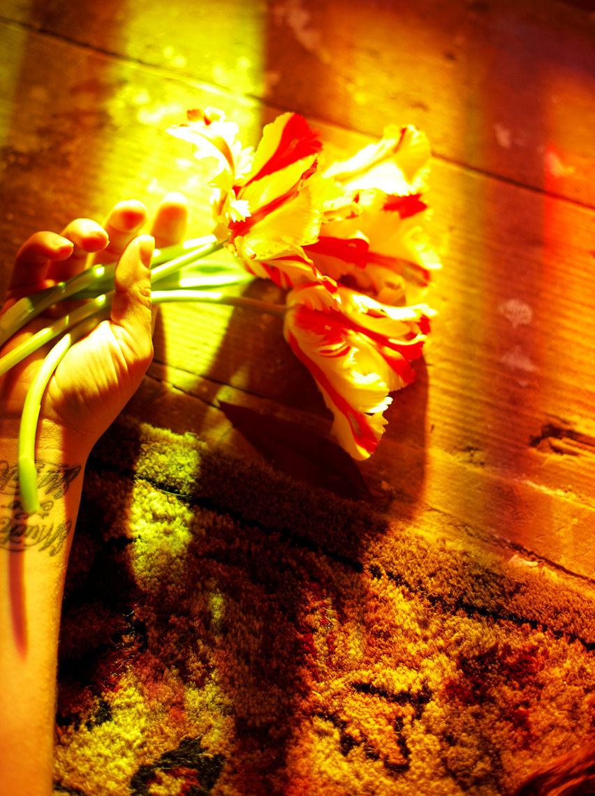 Beauty Flowers || Brian Stevens  || Photography