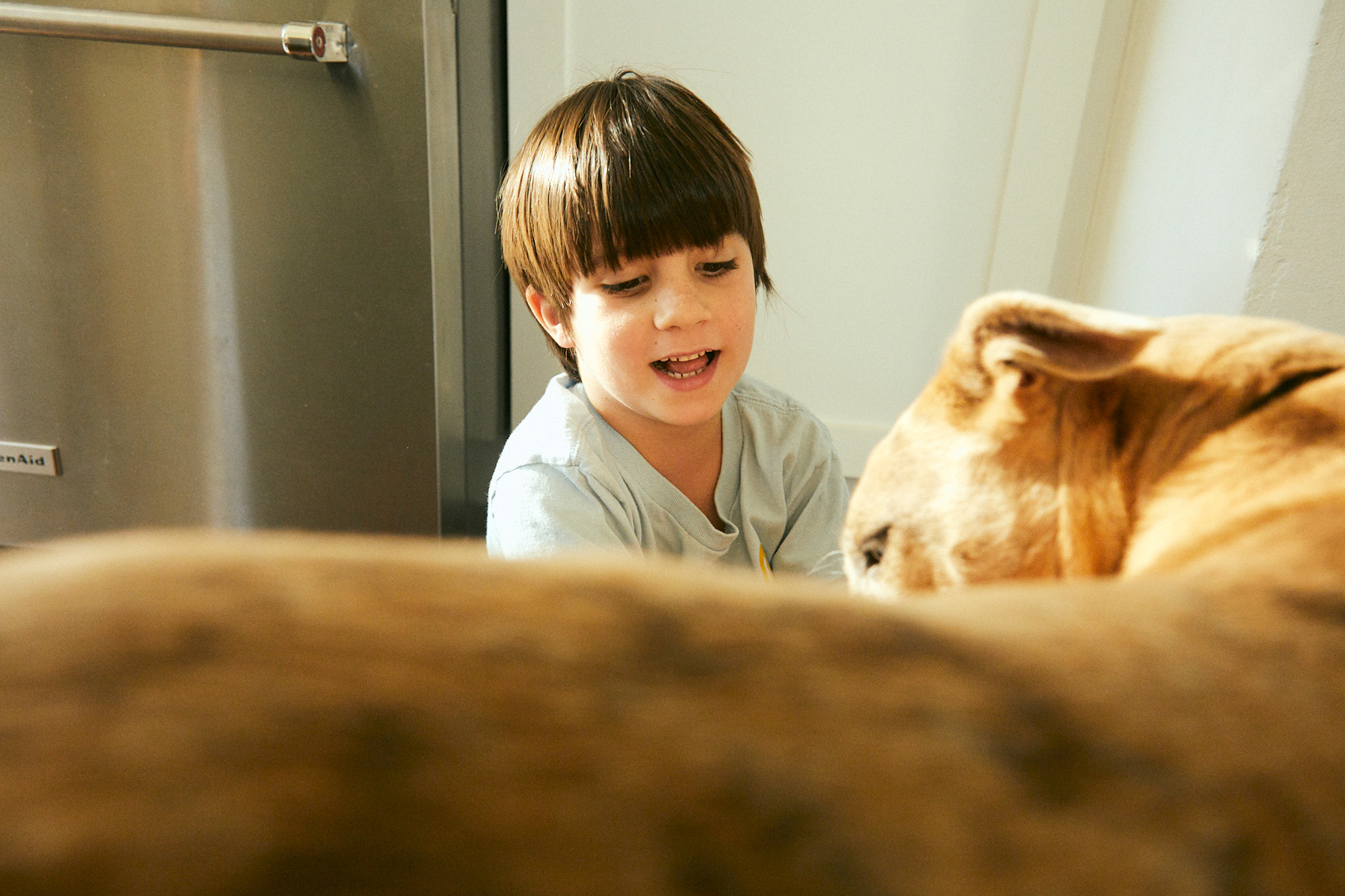 Lifestyle Kid and Dog || Brian Stevens  || Photography