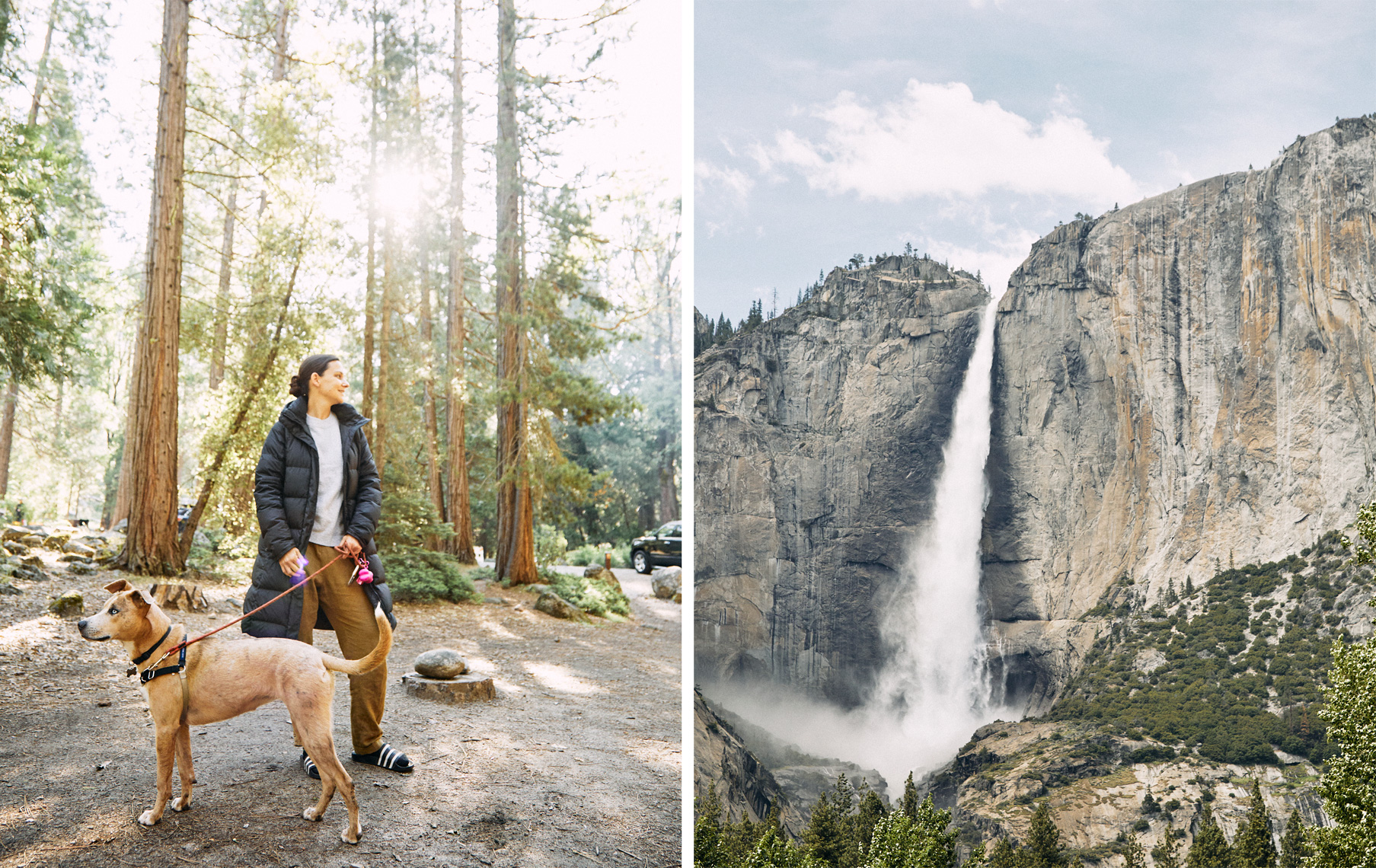 Travel Yosemite Waterfall || Brian Stevens  || Photography