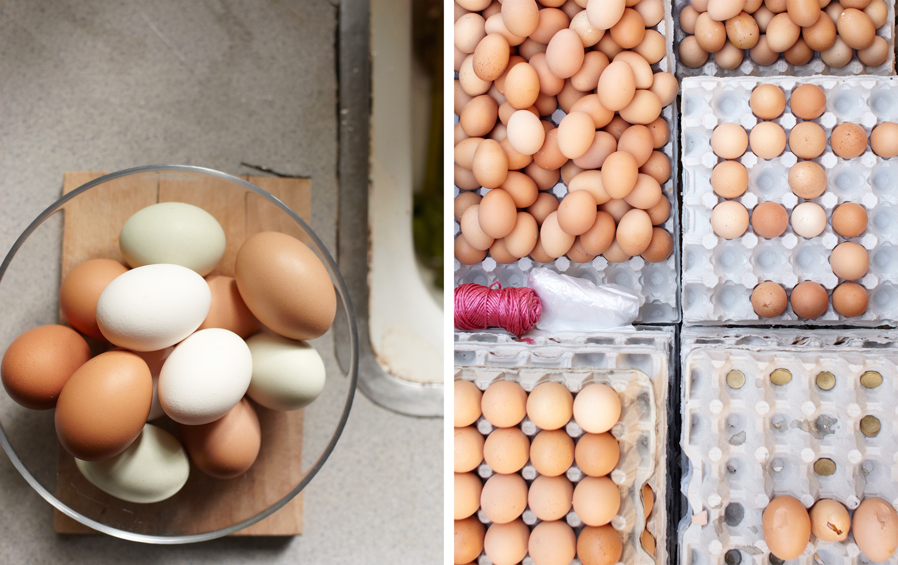 Food Eggs || Brian Stevens  || Photography