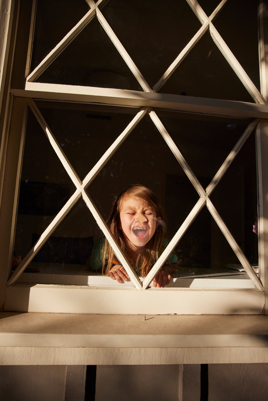 Brian Stevens  || Photography || Window face
