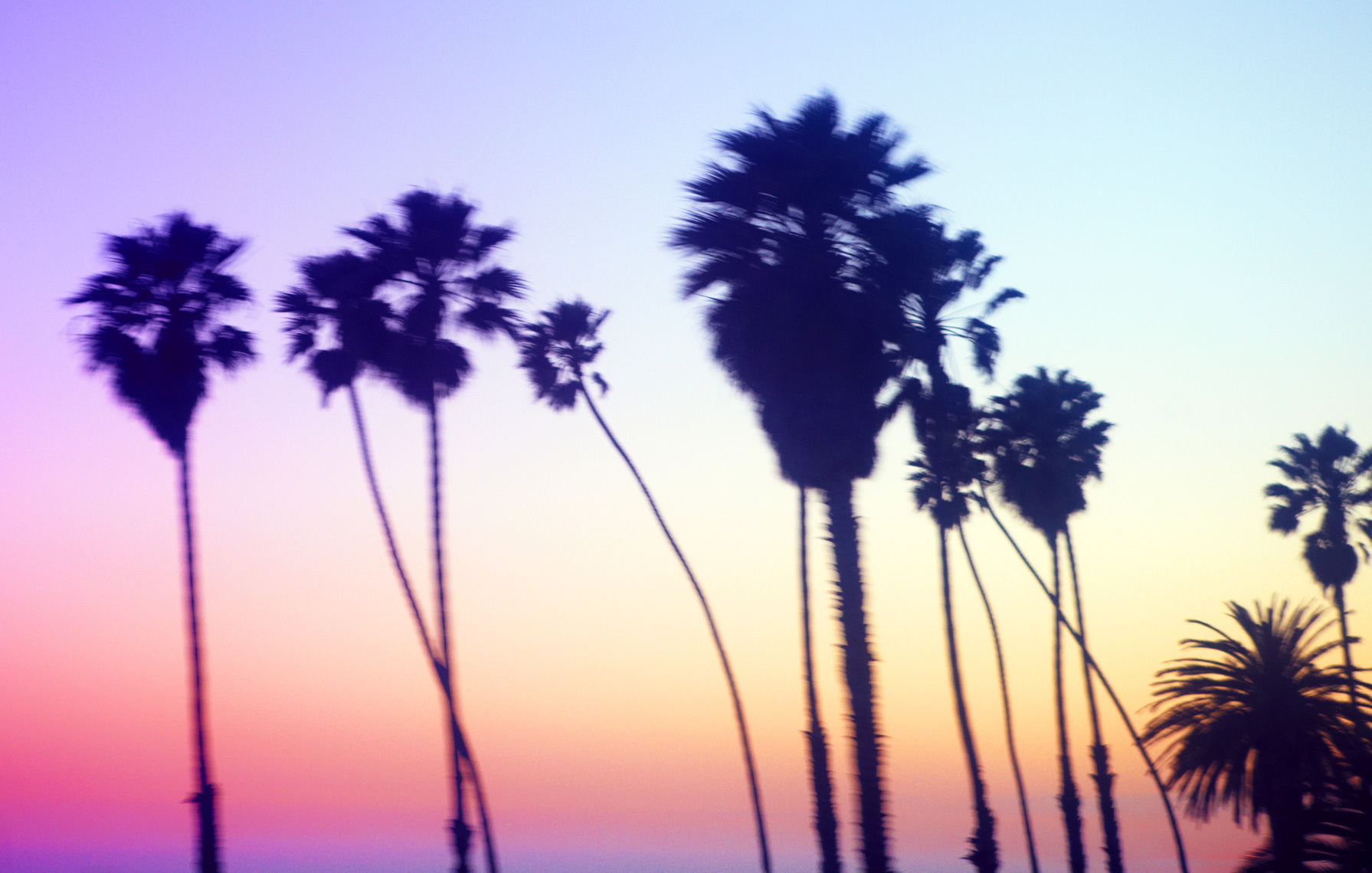 California || Brian Stevens  || Photography